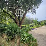 Argonaute Апартаменты Сен-Тропе