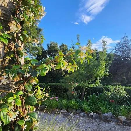 Argonaute Appartement Saint-Tropez