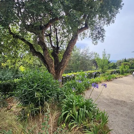 Argonaute Lägenhet Saint-Tropez