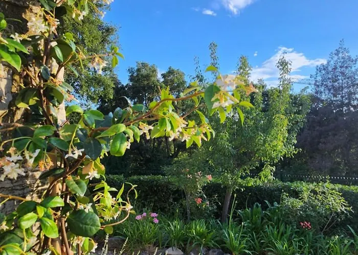 Argonaute Apartment Saint-Tropez